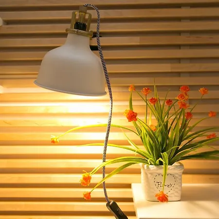 S.angelo Terrace Sq Navona Apartment