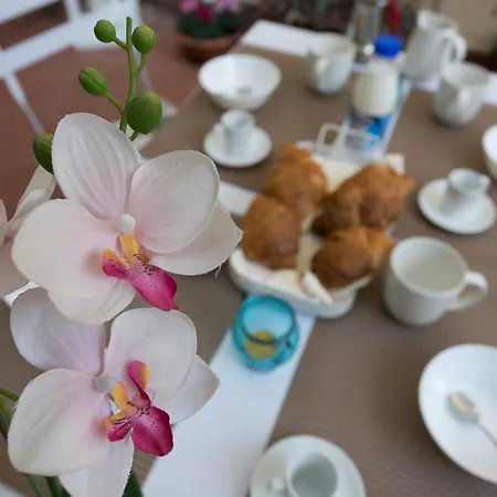 Apartment S.angelo Terrace Sq Navona